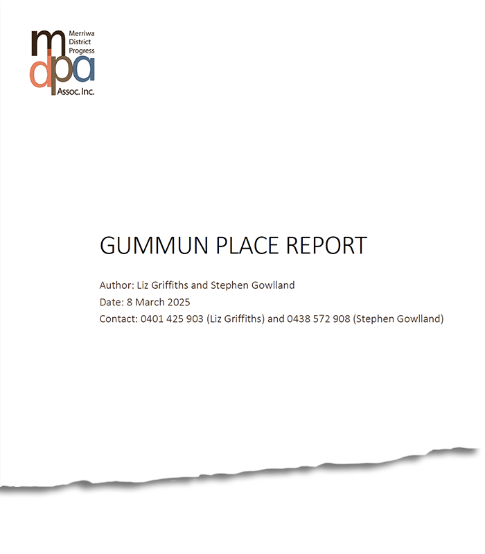 Gummun Place Report