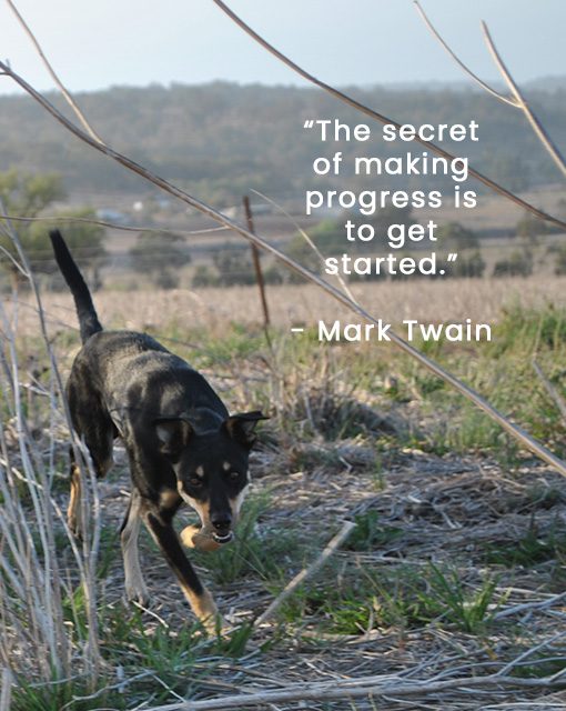 Progress Quotes - Mark Twain
