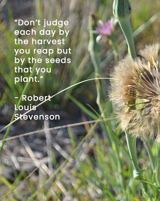 Progress Quotes - Robert L Stevenson